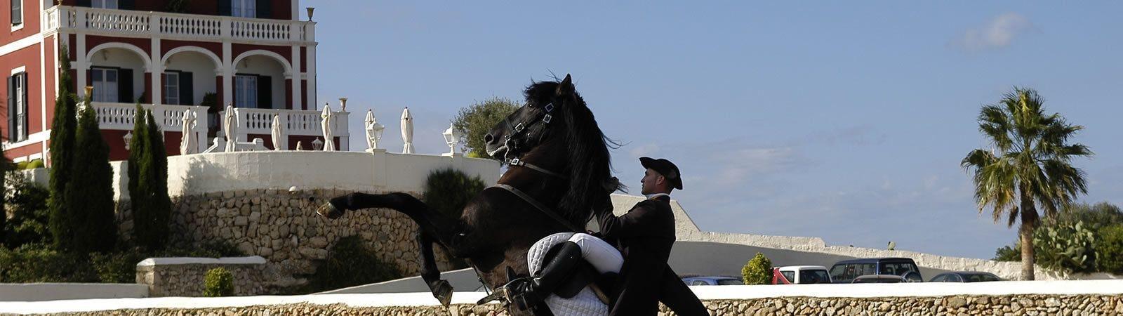 Son Granot 4* Es Castell (Menorca)
