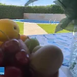 Villa Los Tres