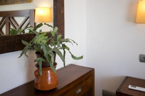Holiday home Menurka - Cala Blanca *