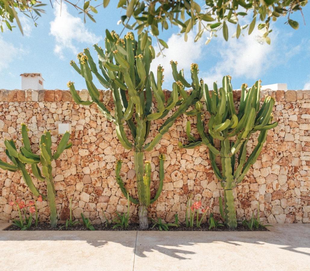 Ses Talaies * Ciutadella (Menorca)