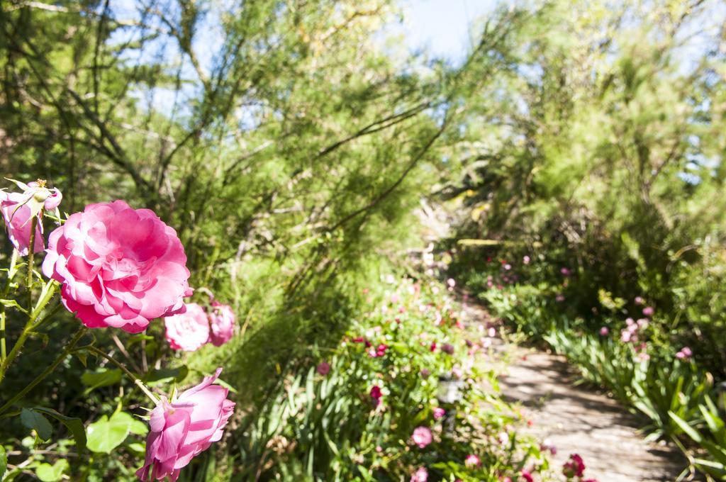 Rural Biniarroca - Adults Only 4* Sant Lluís