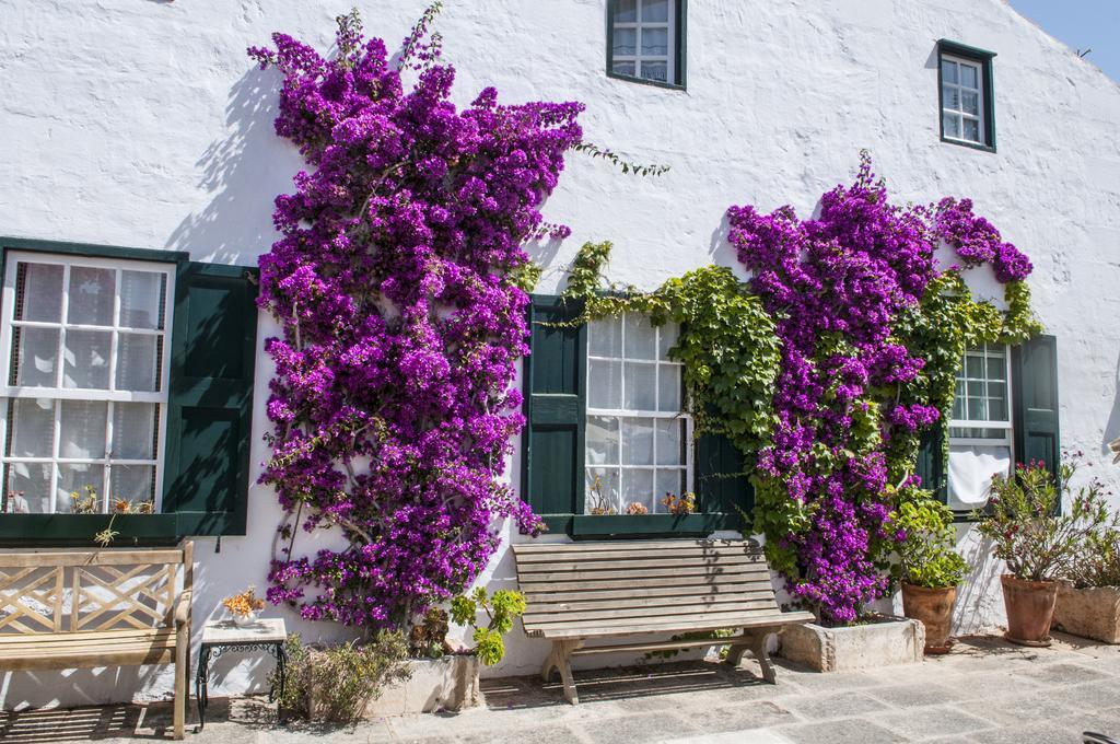 Rural Biniarroca - Adults Only Hotel