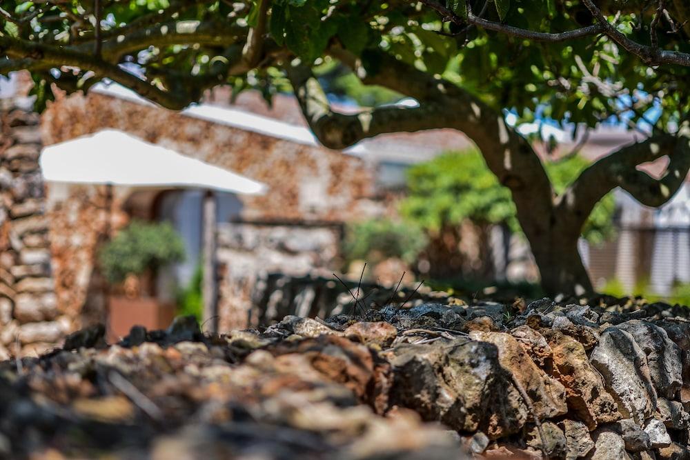 Hotel Binissaida Boutique 4*
