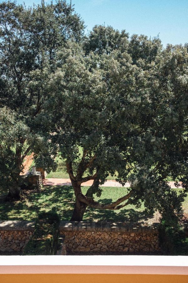 Rural Sant Ignasi 4*