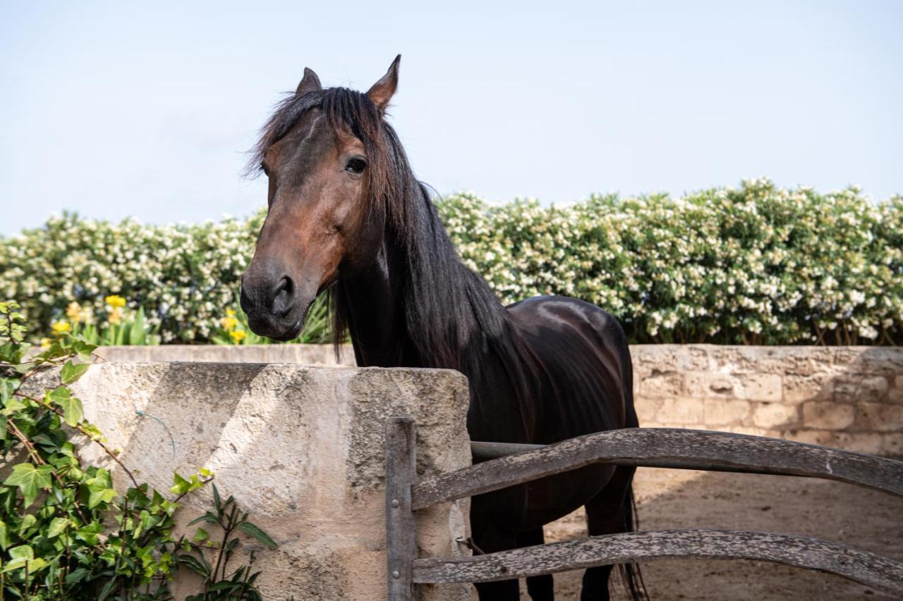 Son Juaneda Agroturismo Ciutadella (Menorca)