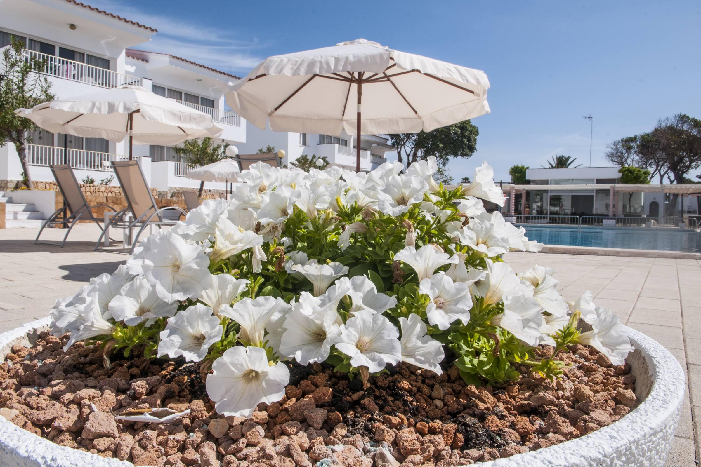 Aparthotel Naranjos Menorca S'Algar
