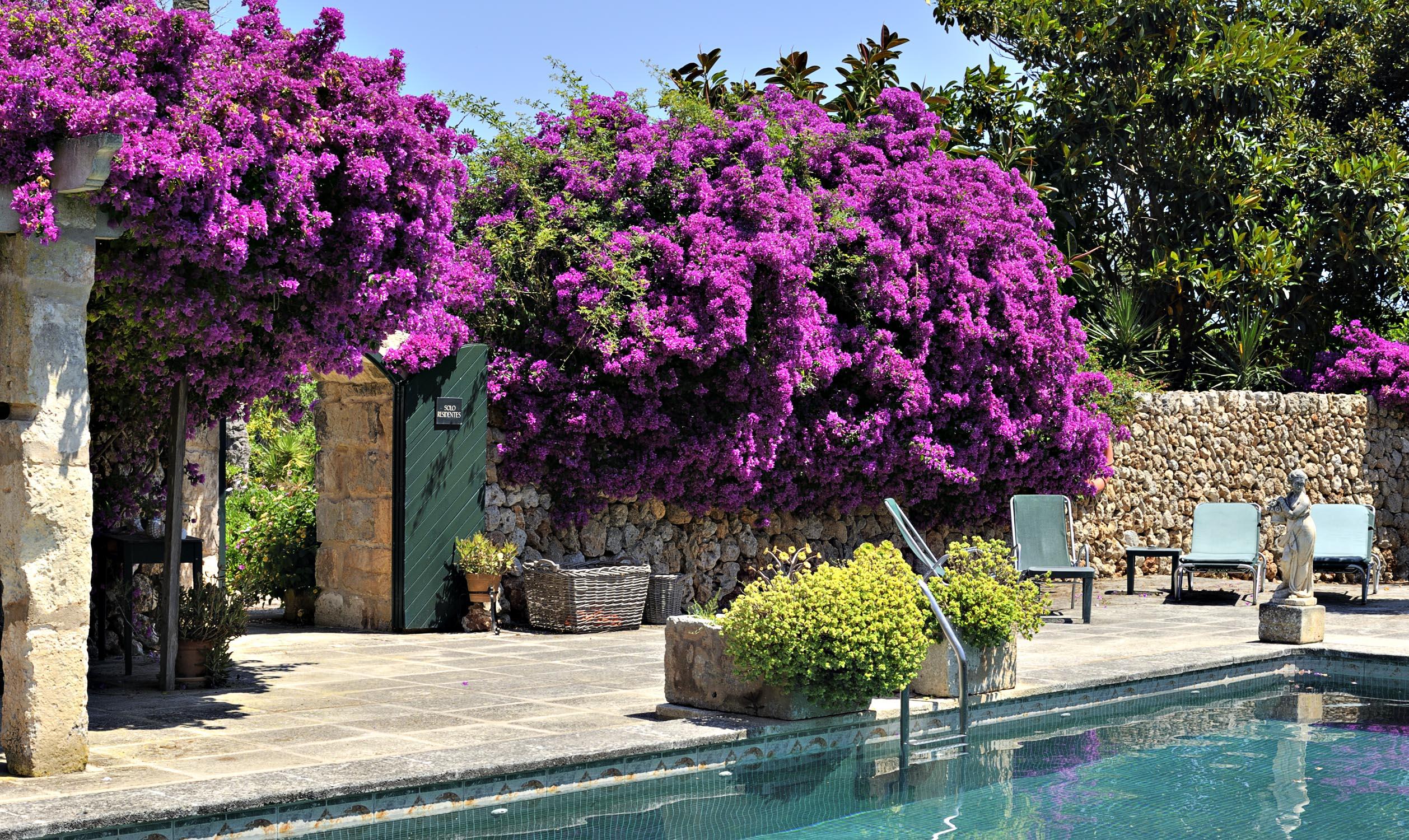 Rural Biniarroca - Adults Only