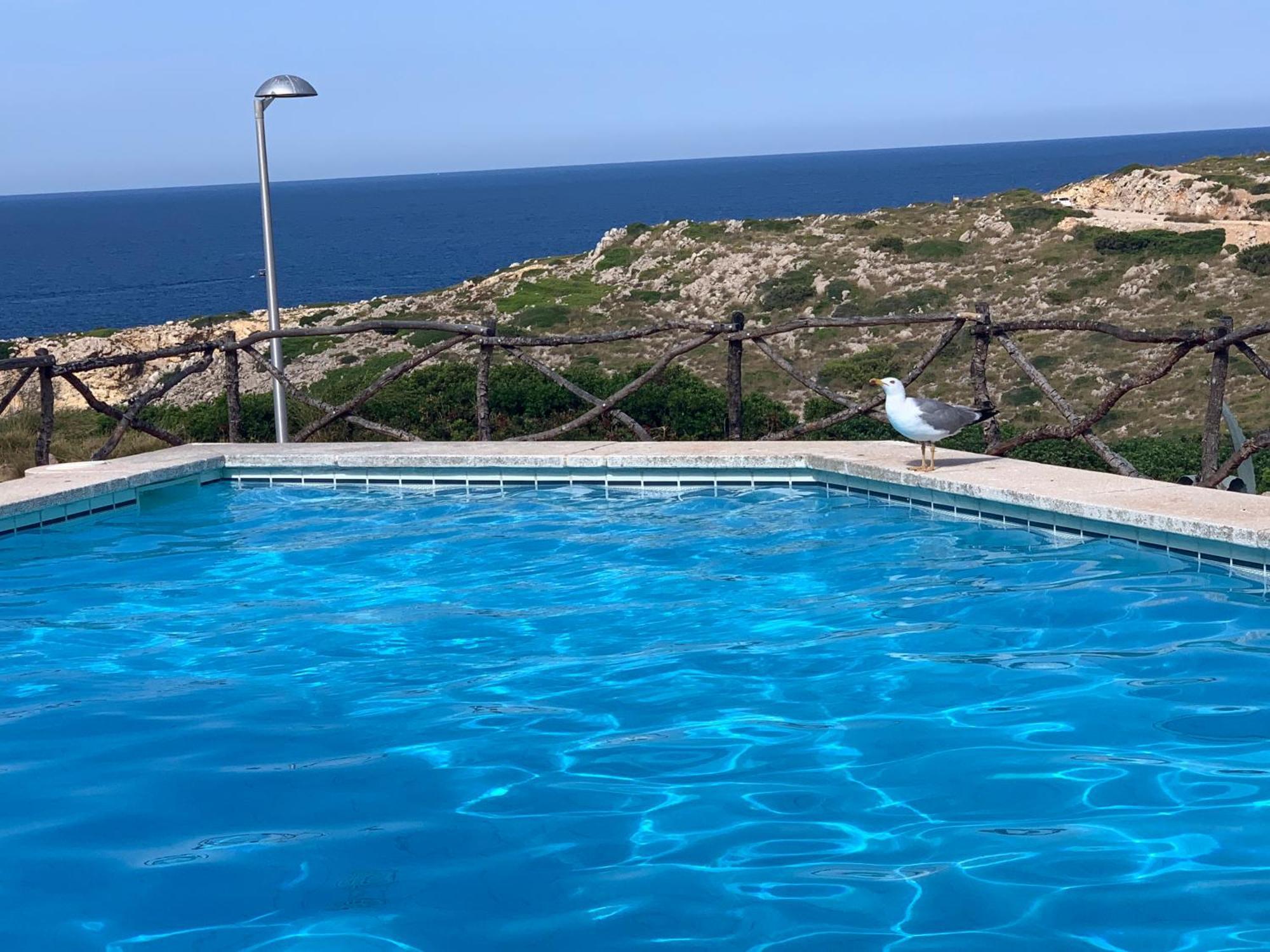 Cerca De La Playa Apartment
