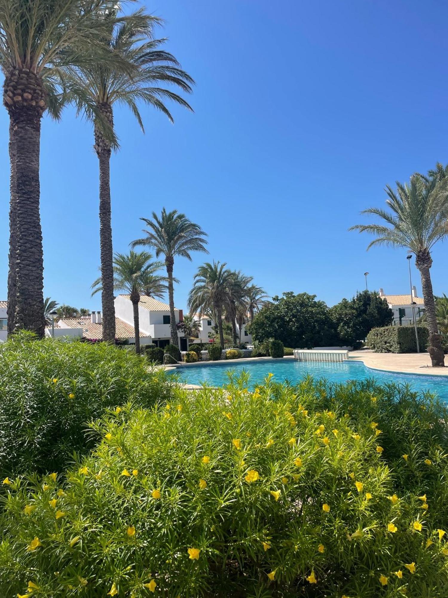 Apartment Vicent.- A Pie De Piscina Sa Caleta