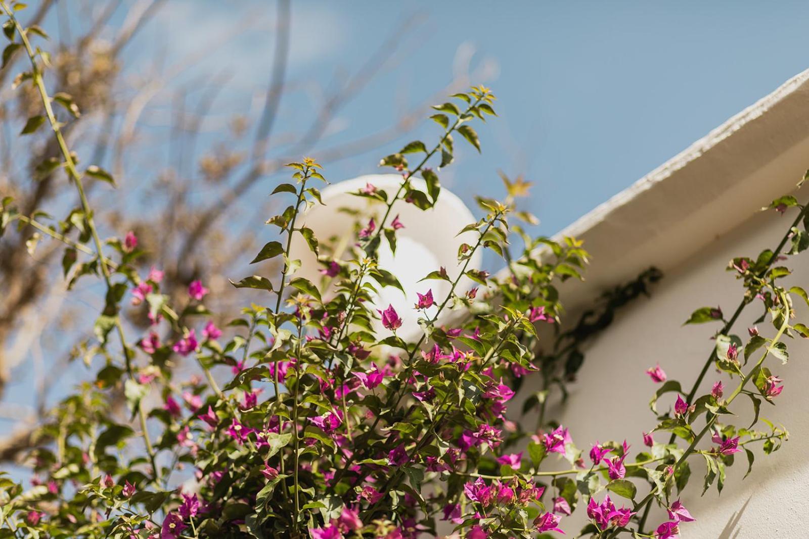 Rural Sant Ignasi Ciutadella (Menorca)