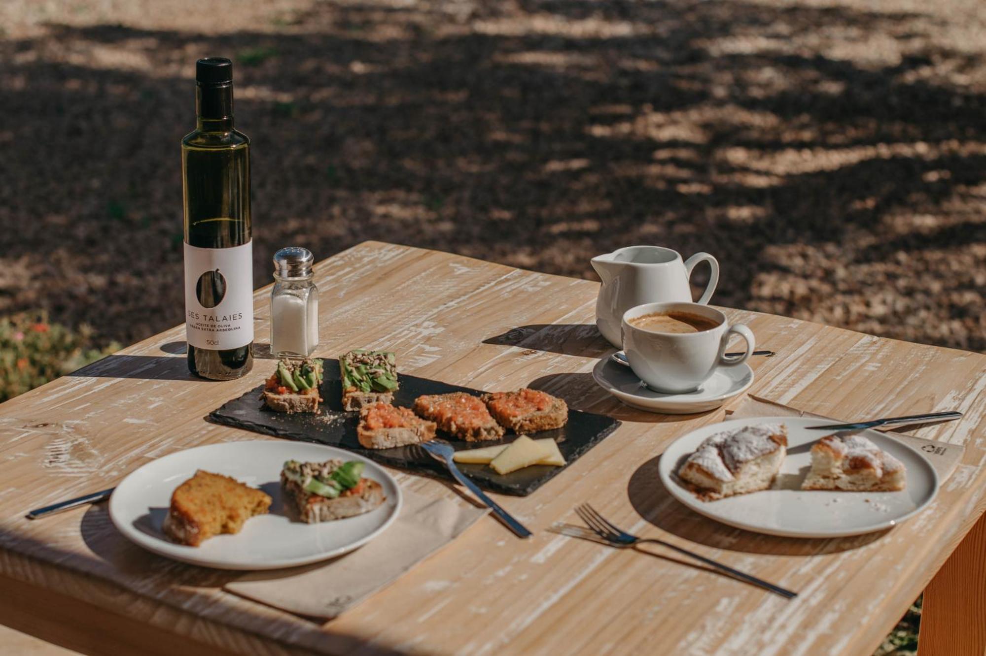 Ses Talaies Farm stay