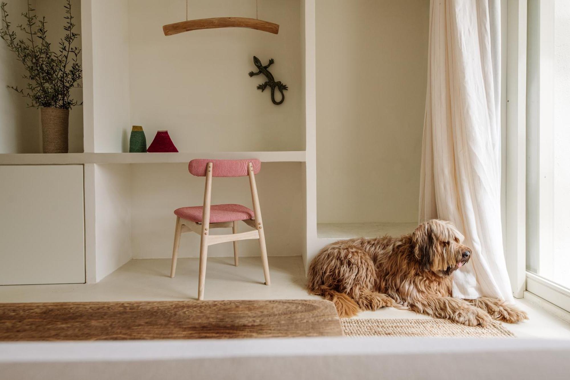 Morvedra Nou Luxury Boutique - Adults Only