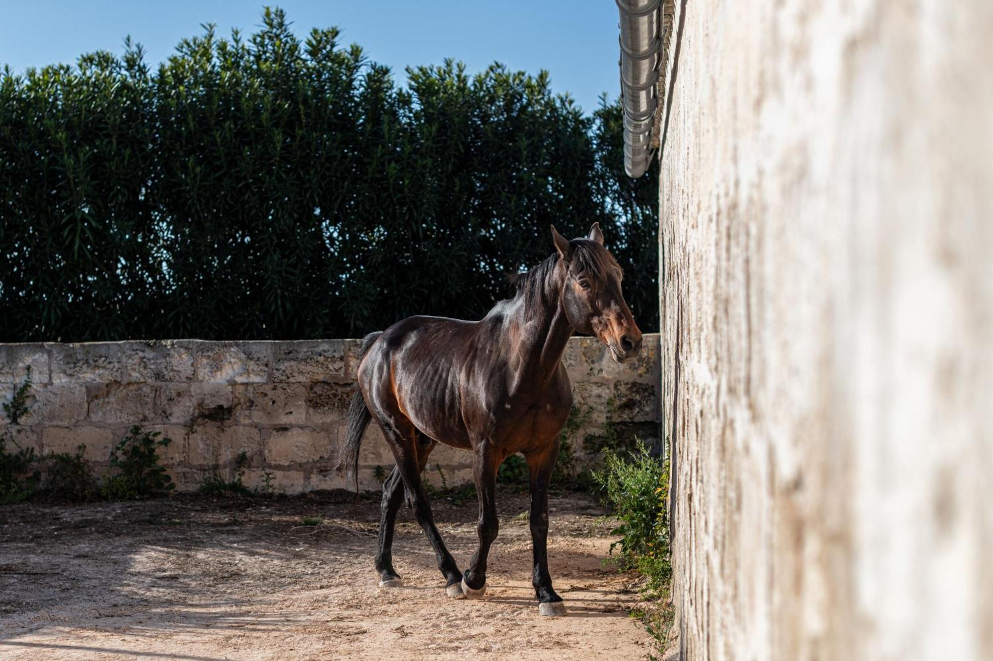 Son Juaneda Agroturismo Ciutadella (Menorca)