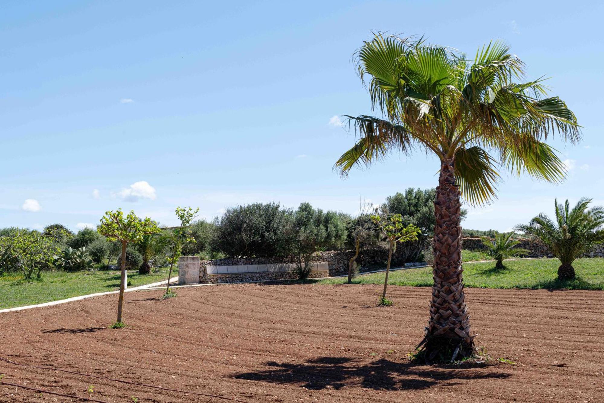 Agroturismo Son Juaneda *