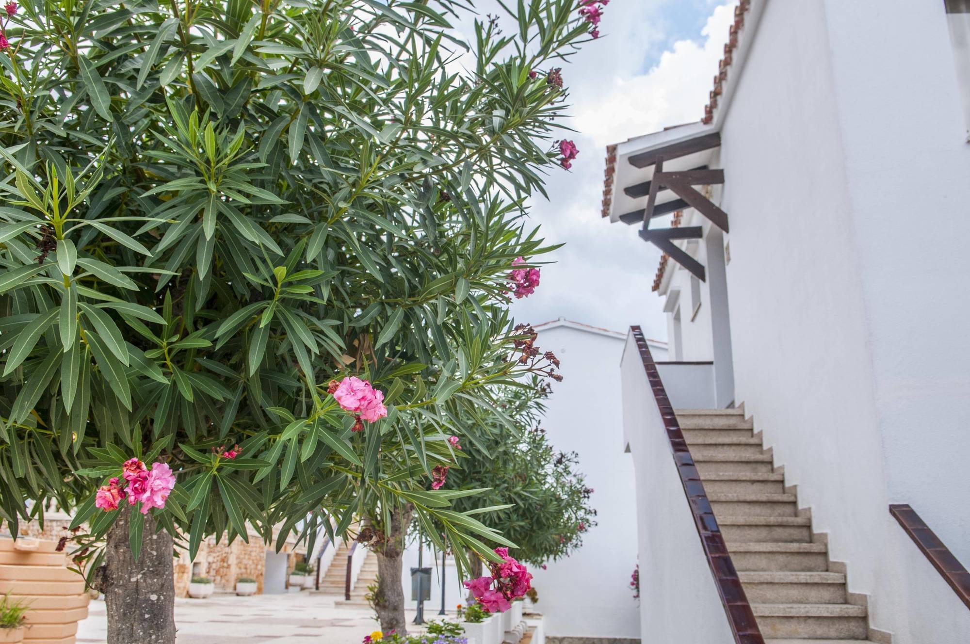 Naranjos Menorca 3*