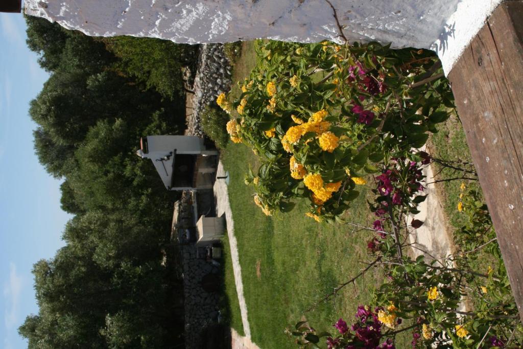 Binissafullet Vell Sant Lluís